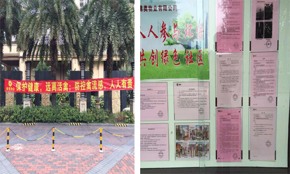 佛奥物业关于全面开展预防禽流感活动